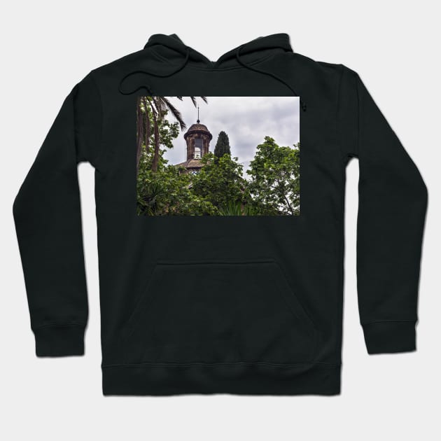 Dome of Chapel among the trees Hoodie by lena-maximova